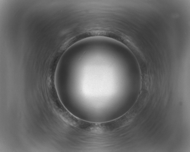 X0000081580259200701151250