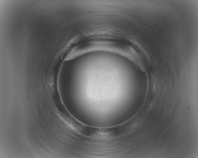 X0000081580260200701151250