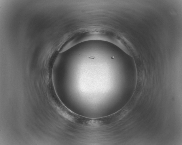 X0000081580261200701151250