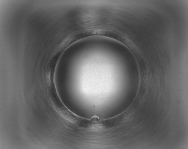 X0000081580262200701151251