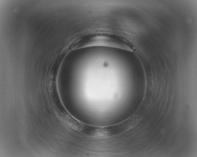 X0000081580263200701151251