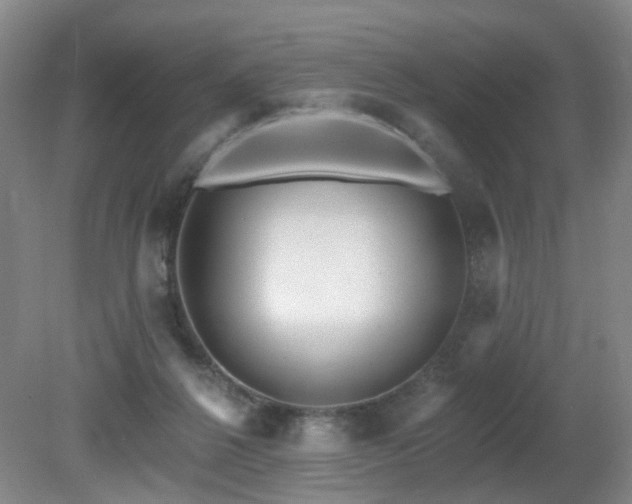 X0000081580264200701151251