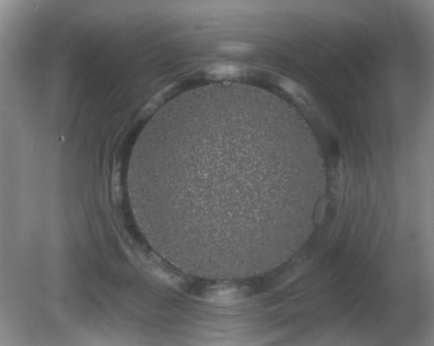 X0000081580267200701151251