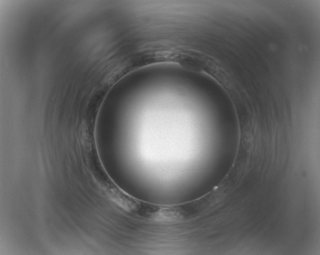 X0000081580270200701151251