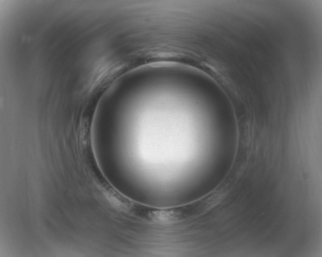 X0000081580273200701151251