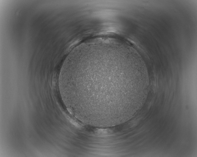 X0000081580277200701151251