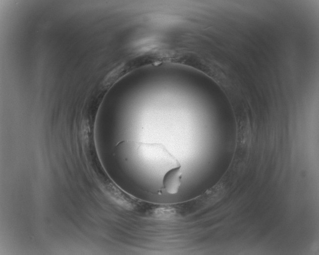 X0000081580279200701151251