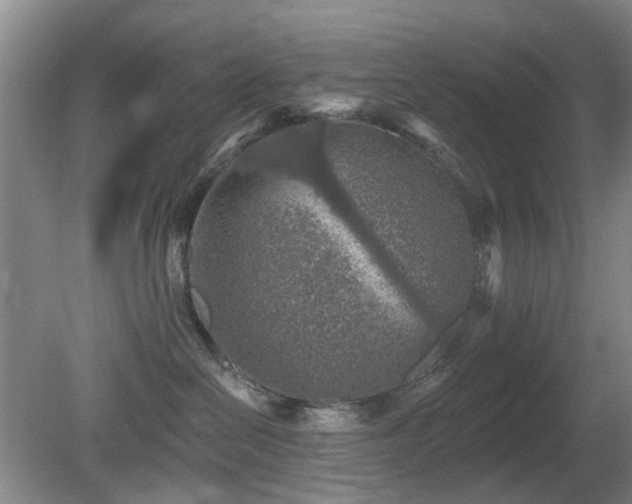 X0000081580286200701151251