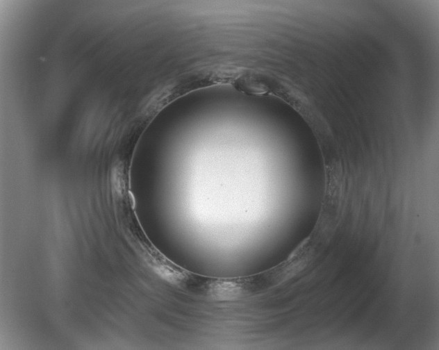 X0000081580287200701151251