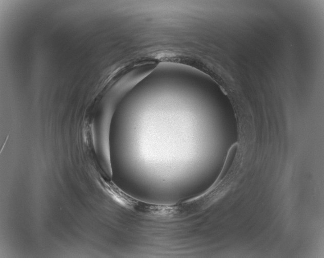 X0000081580288200701151251