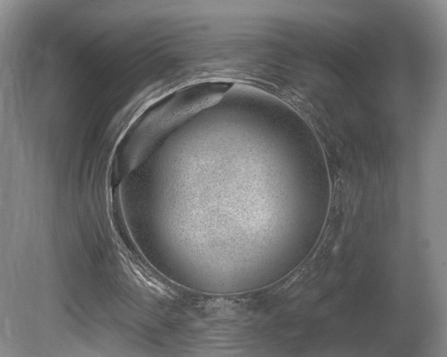 X0000081580290200701151250