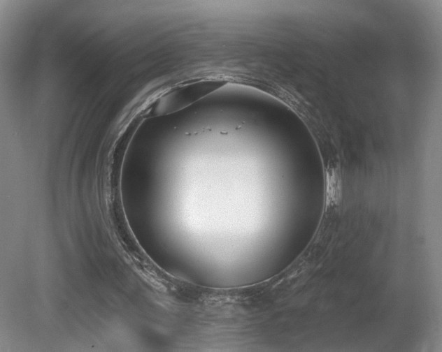 X0000081580291200701151250