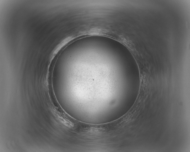 X0000081580292200701151250