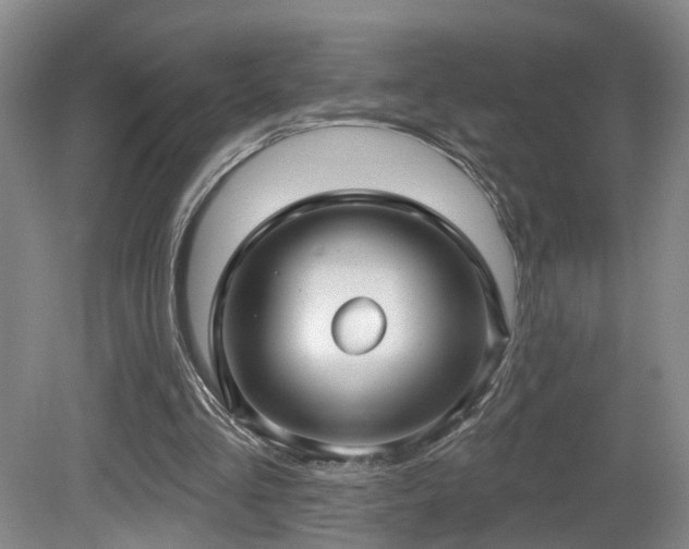 X0000081580293200701151250