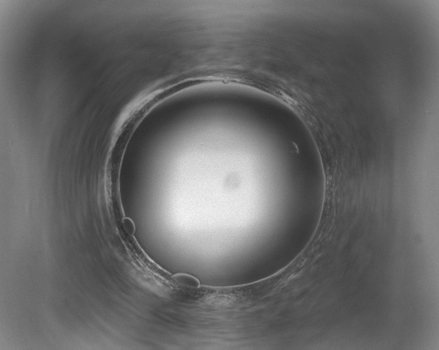 X0000081580294200701151250