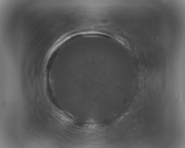 X0000081580295200701151250