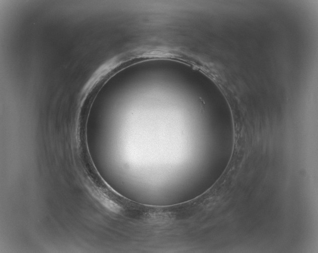 X0000081580296200701151250