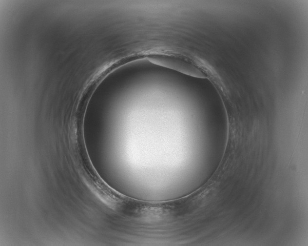 X0000081580298200701151250