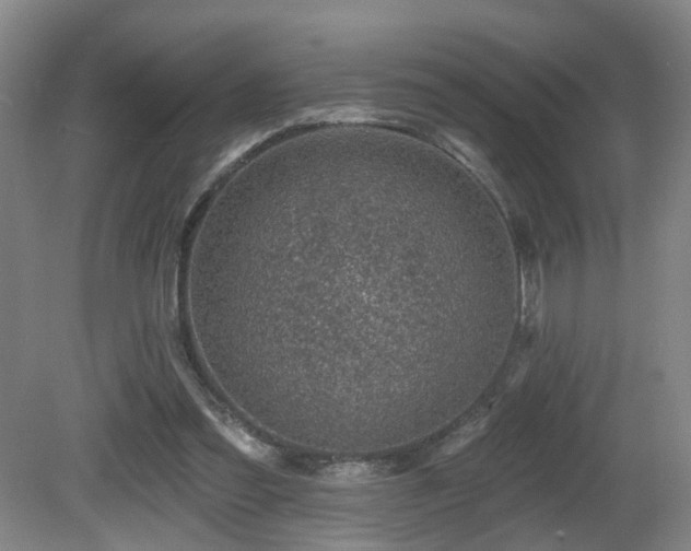 X0000081580301200701151250