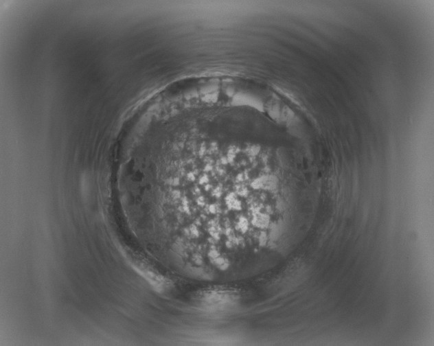 X0000081580303200701151250