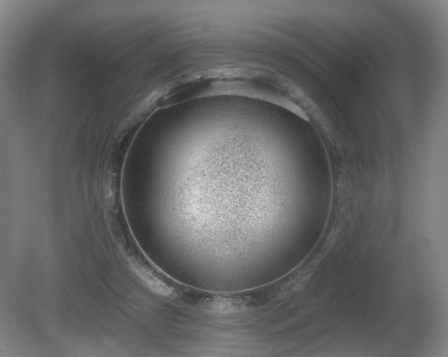 X0000081580305200701151250