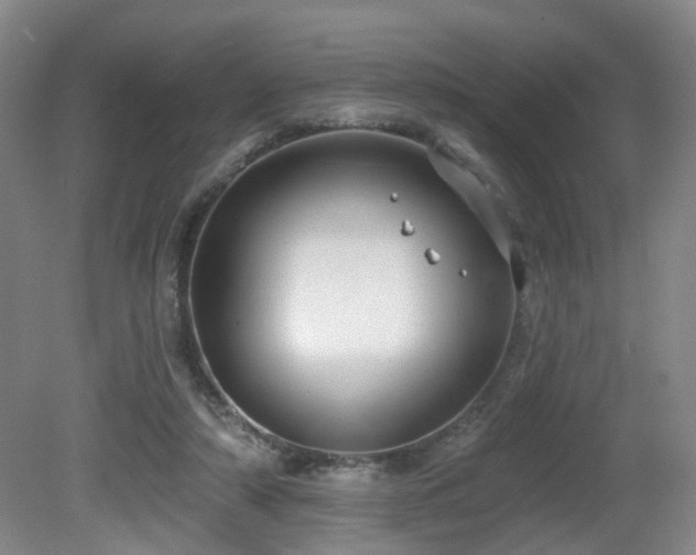 X0000081580306200701151250