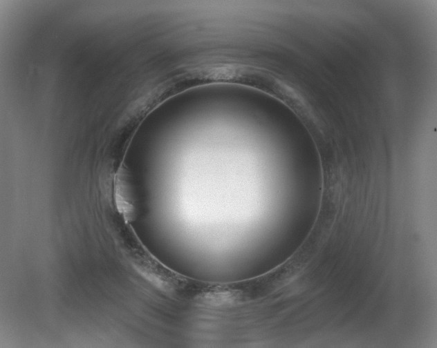 X0000081580307200701151250