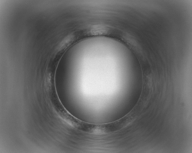 X0000081580308200701151250