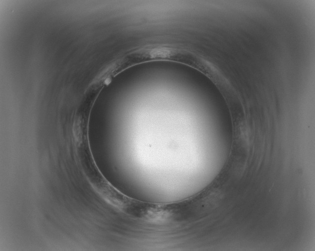 X0000081580311200701151250