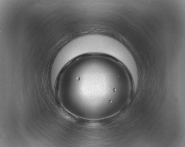 X0000081580313200701151250