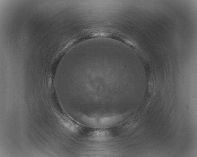 X0000081580314200701151250