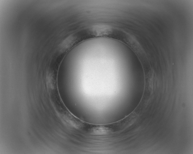 X0000081580316200701151250