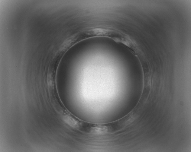 X0000081580317200701151250