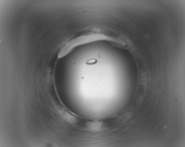 X0000081580318200701151250