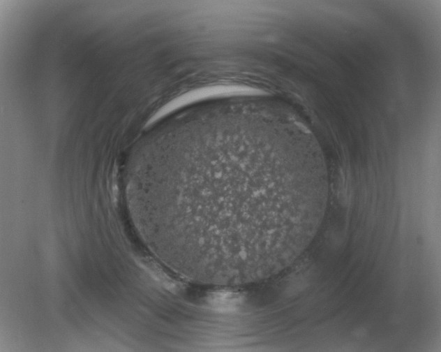 X0000081580319200701151250