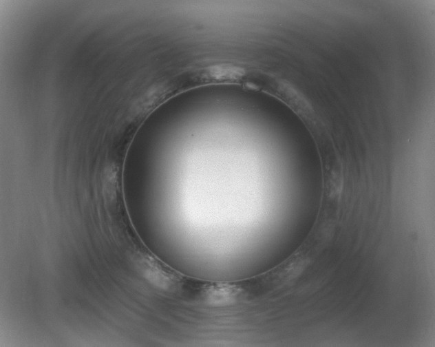 X0000081580321200701151250