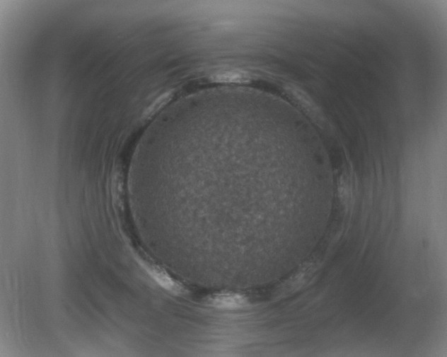 X0000081580322200701151250