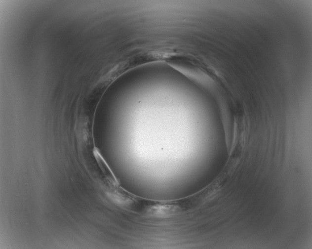 X0000081580323200701151250