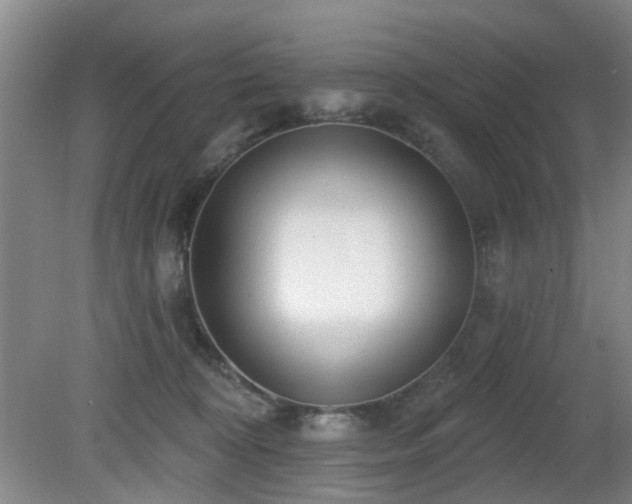 X0000081580324200701151250