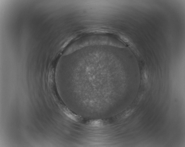 X0000081580325200701151250