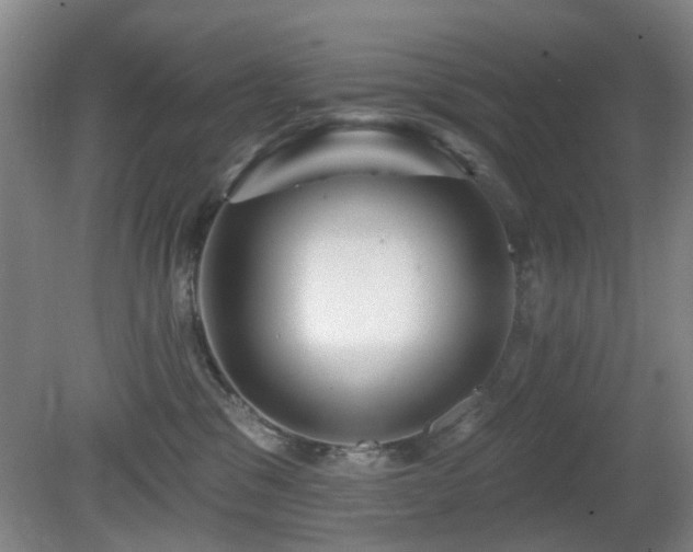 X0000081580329200701151249