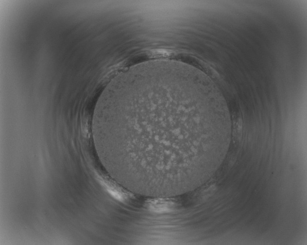 X0000081580331200701151249