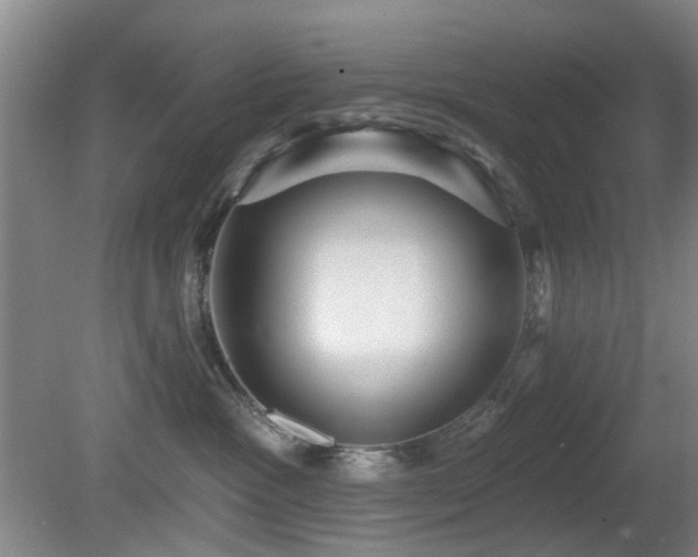 X0000081580333200701151249