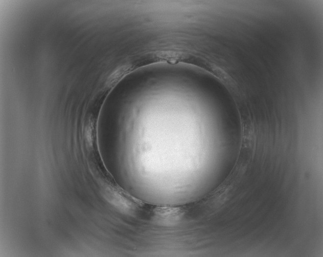 X0000081580334200701151249