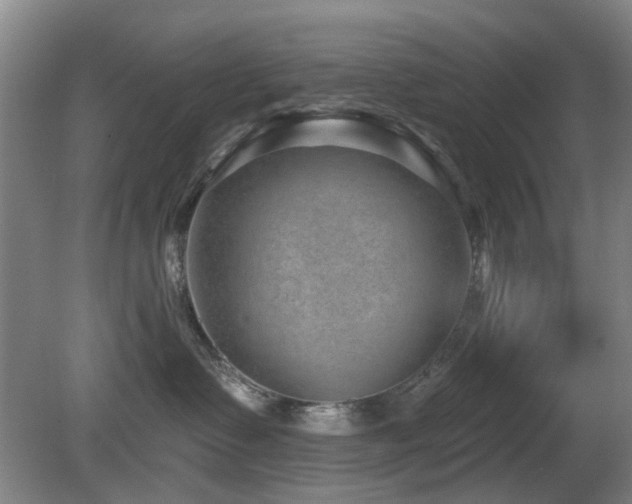 X0000081580335200701151249