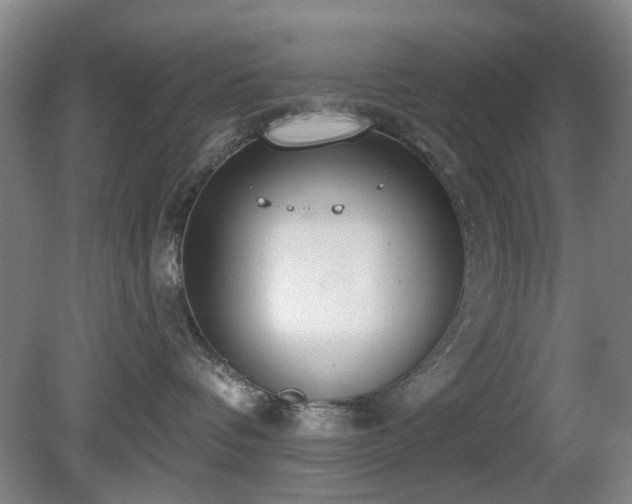 X0000081580336200701151249