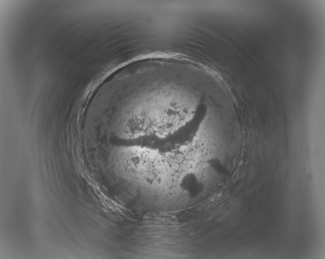 X0000081580337200701151249