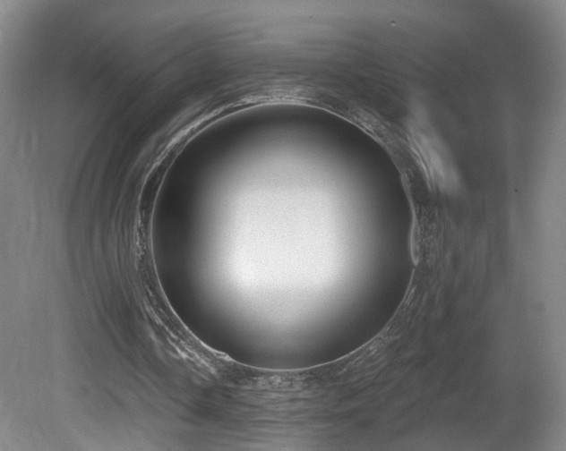 X0000081580338200701151249