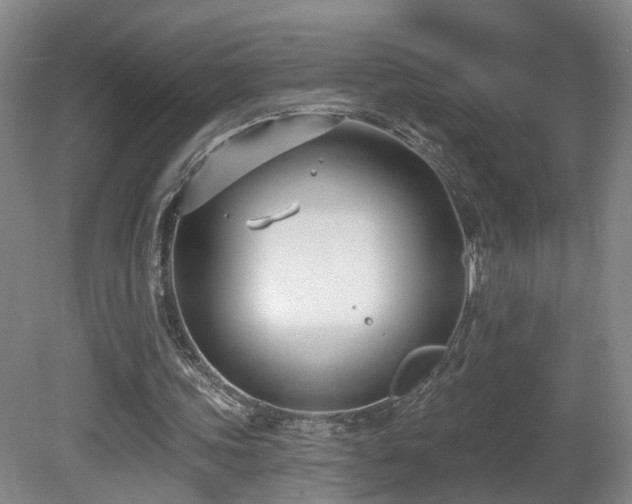 X0000081580339200701151249