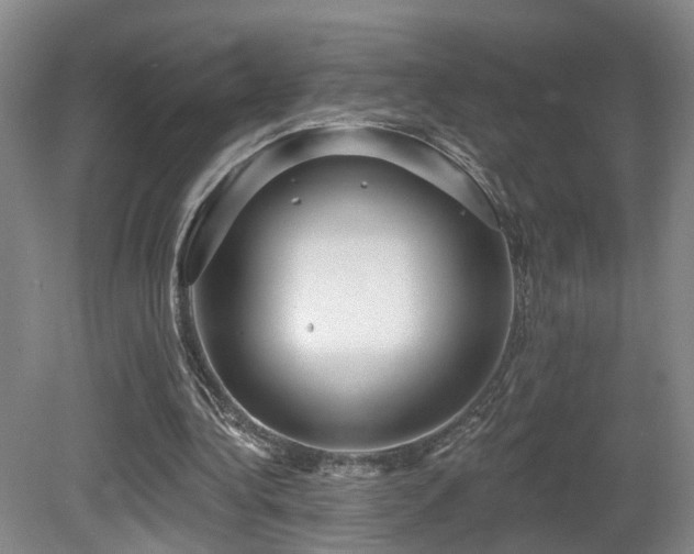 X0000081580340200701151249